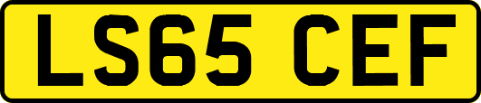 LS65CEF