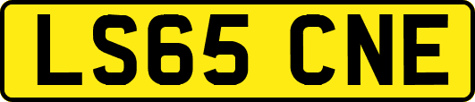 LS65CNE