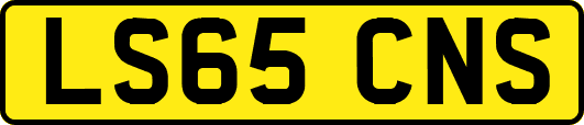 LS65CNS