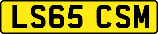 LS65CSM