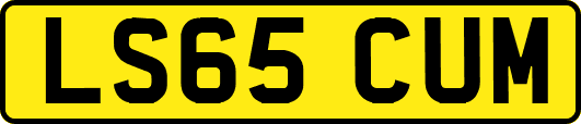 LS65CUM