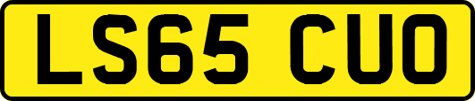 LS65CUO