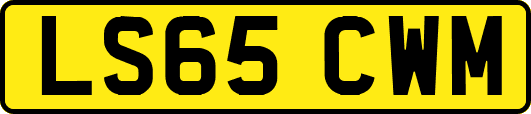 LS65CWM