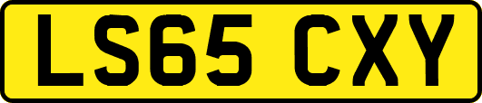 LS65CXY