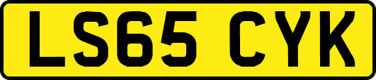 LS65CYK