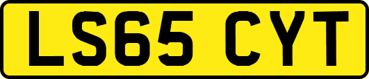 LS65CYT