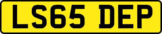 LS65DEP