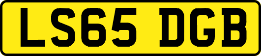 LS65DGB