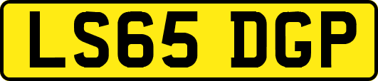 LS65DGP