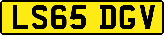 LS65DGV