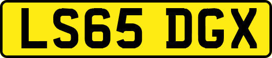 LS65DGX