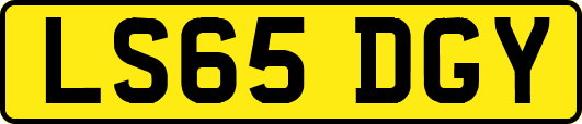 LS65DGY