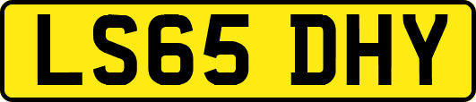 LS65DHY