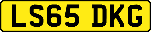LS65DKG