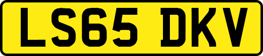 LS65DKV