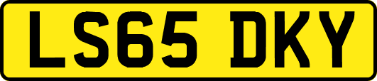 LS65DKY