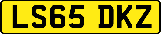 LS65DKZ