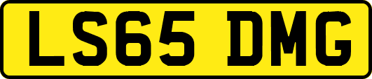 LS65DMG