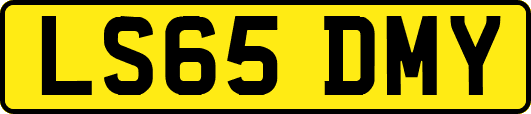 LS65DMY