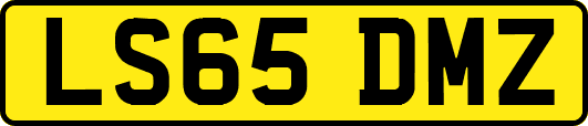LS65DMZ