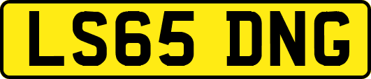 LS65DNG