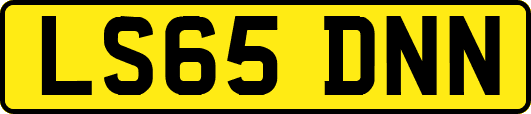 LS65DNN