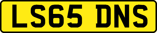 LS65DNS