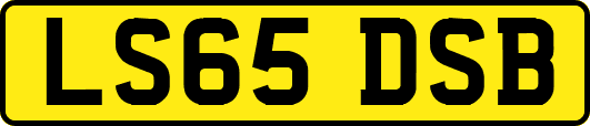 LS65DSB
