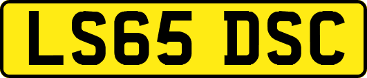 LS65DSC