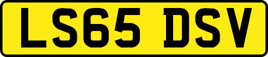 LS65DSV