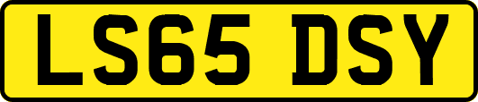 LS65DSY