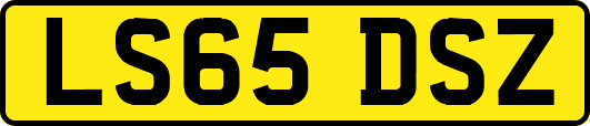 LS65DSZ