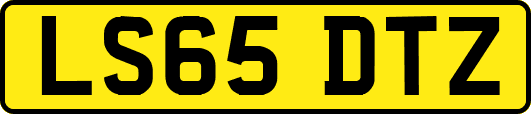 LS65DTZ