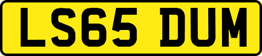LS65DUM