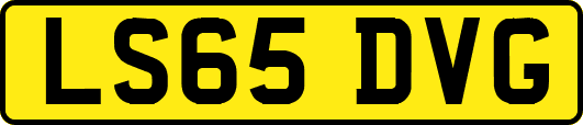 LS65DVG