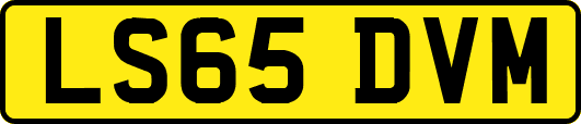 LS65DVM