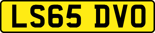 LS65DVO
