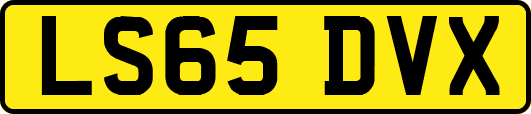 LS65DVX