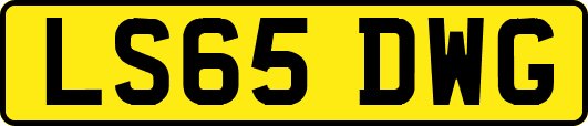 LS65DWG