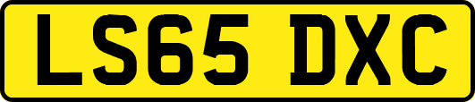 LS65DXC