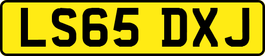 LS65DXJ