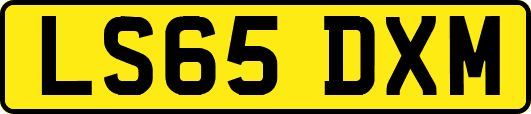 LS65DXM