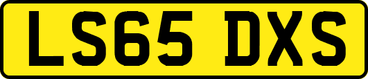 LS65DXS