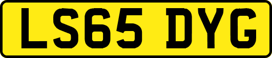 LS65DYG