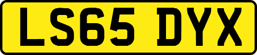 LS65DYX
