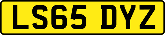 LS65DYZ