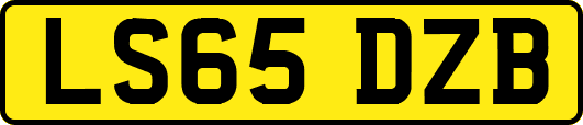 LS65DZB