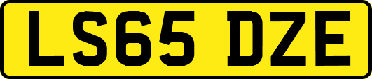LS65DZE