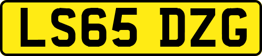 LS65DZG