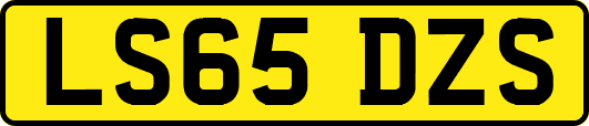LS65DZS